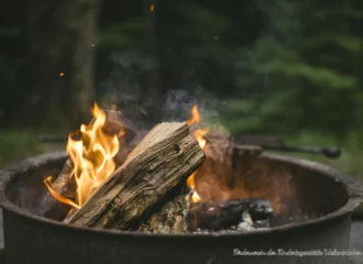 Gruppenausflug Feuerholz 2025