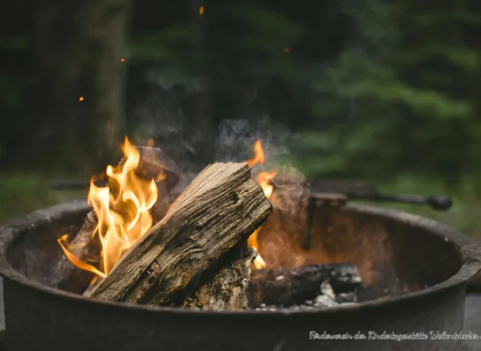 Gruppenausflug Feuerholz 2025