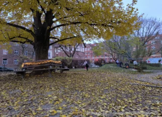 Lichtermarkt 2024