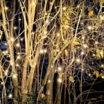 Lichtermarkt 2025: Ein Lichtermeer mit Stockbrot