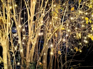 Lichternetz am Lichtermarkt im Kindergarten Weltentdecker in Jena 2025