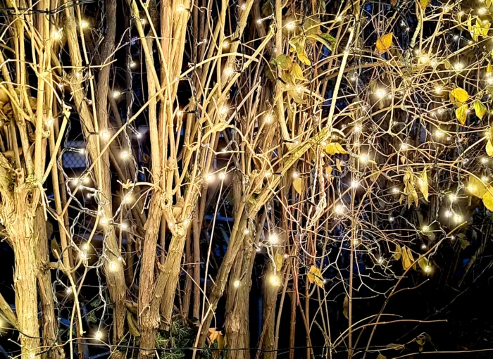 Lichternetz am Lichtermarkt im Kindergarten Weltentdecker in Jena 2025